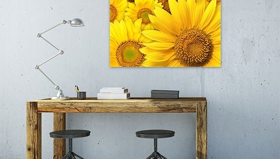 הדפסה על קאפה חמניות