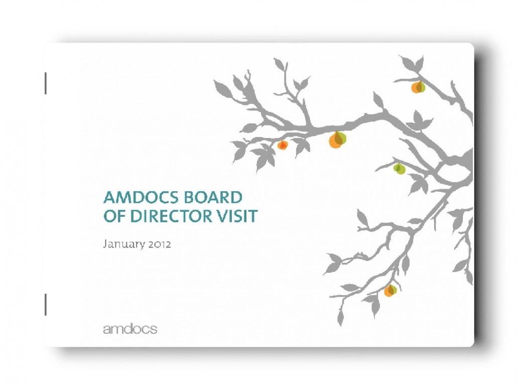 חוברות סיכות