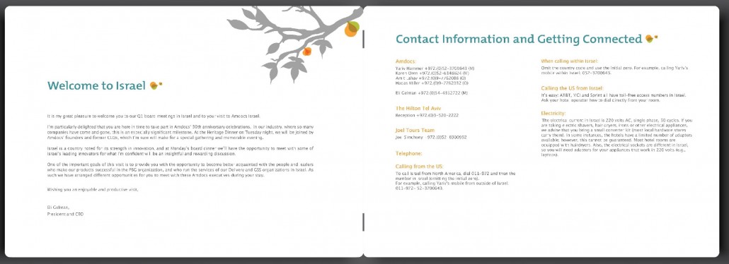 חוברת סיכות